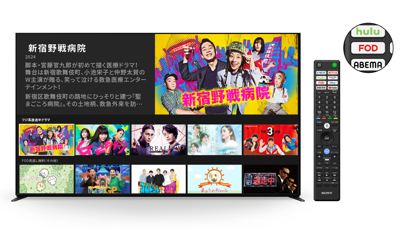 SONY BRAVIA.jpg