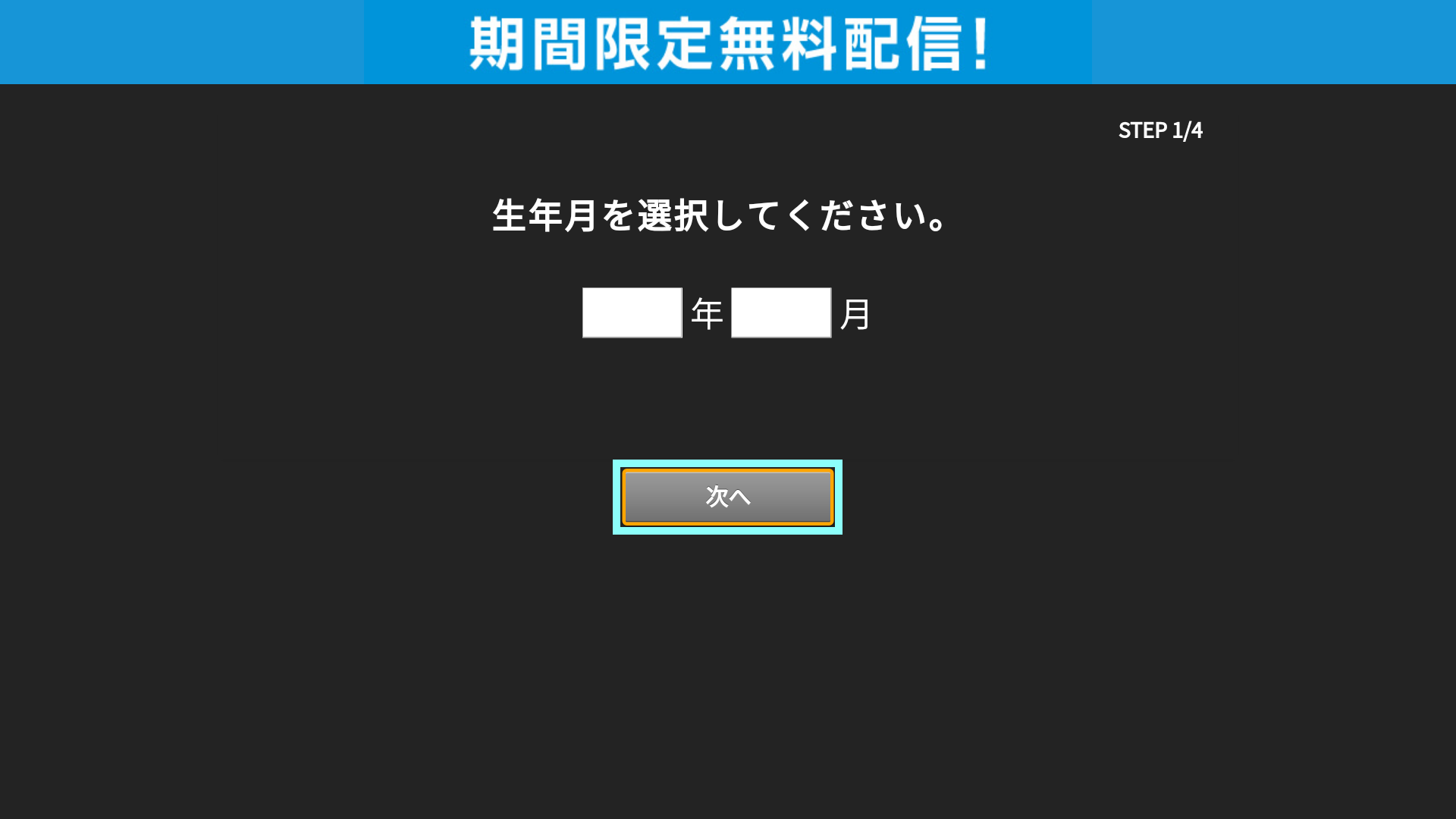 _____2a.png